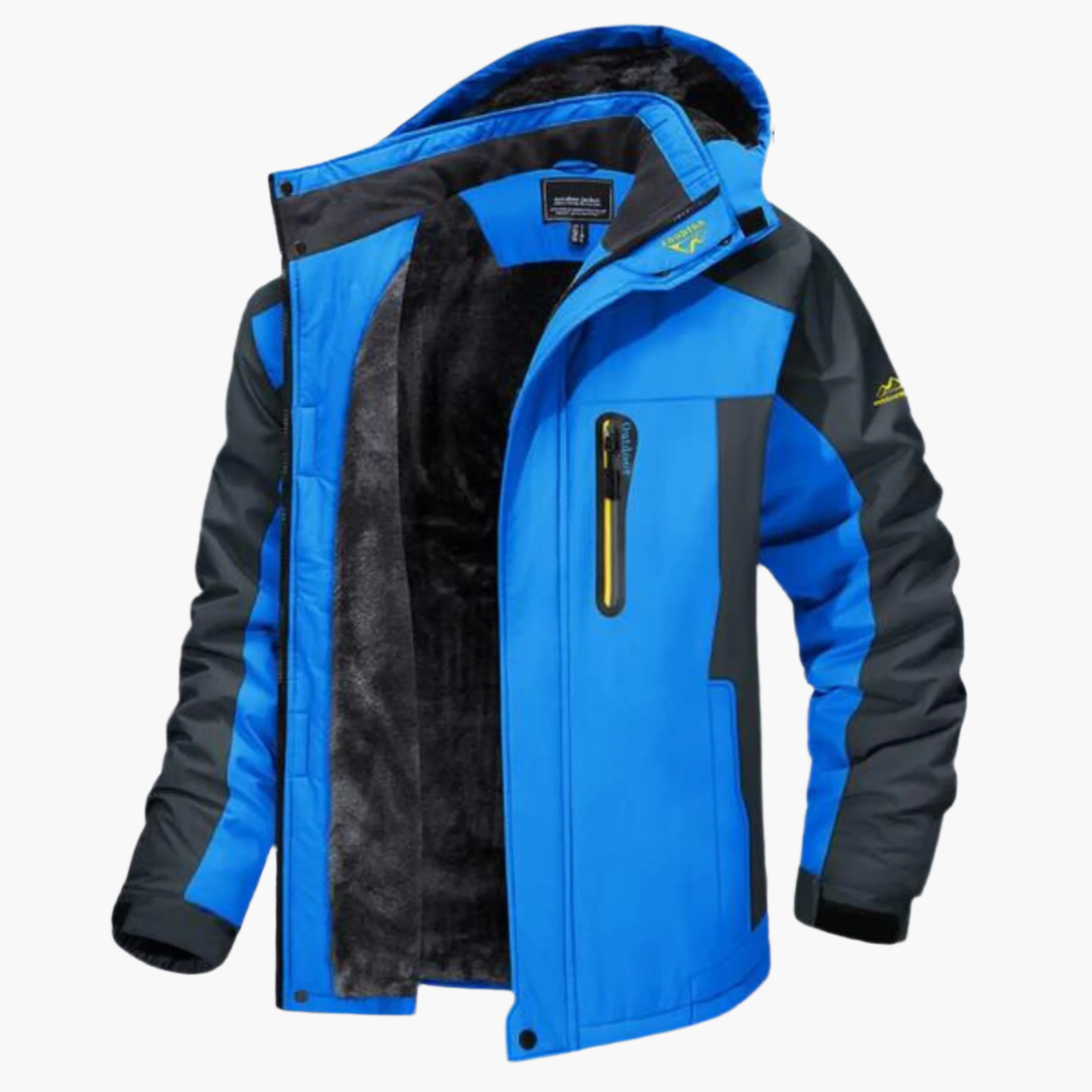 Veste D'hiver Classique À Capuche Pour Homme | Hiver