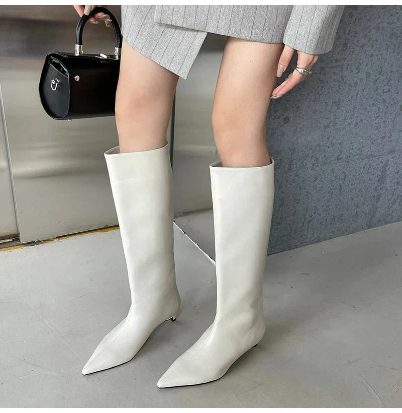 Bottes Pointues Hautes Au Genou | Hiver
