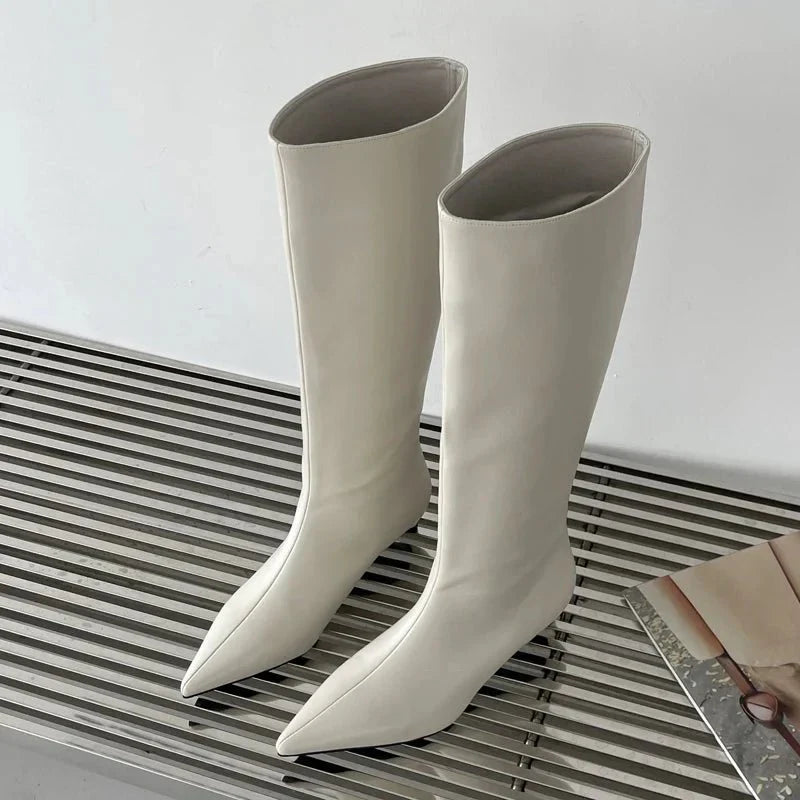 Bottes Pointues Hautes Au Genou | Hiver