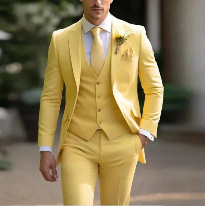 Costume D'invité De Mariage 3 Pièces Pour Hommes | Classique