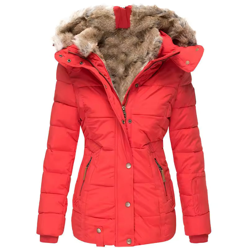 Veste D’Hiver Pour Femme Avec Col Et Fourrure | Manches Longues